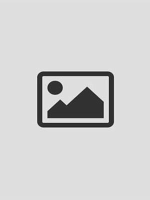 no image slider1