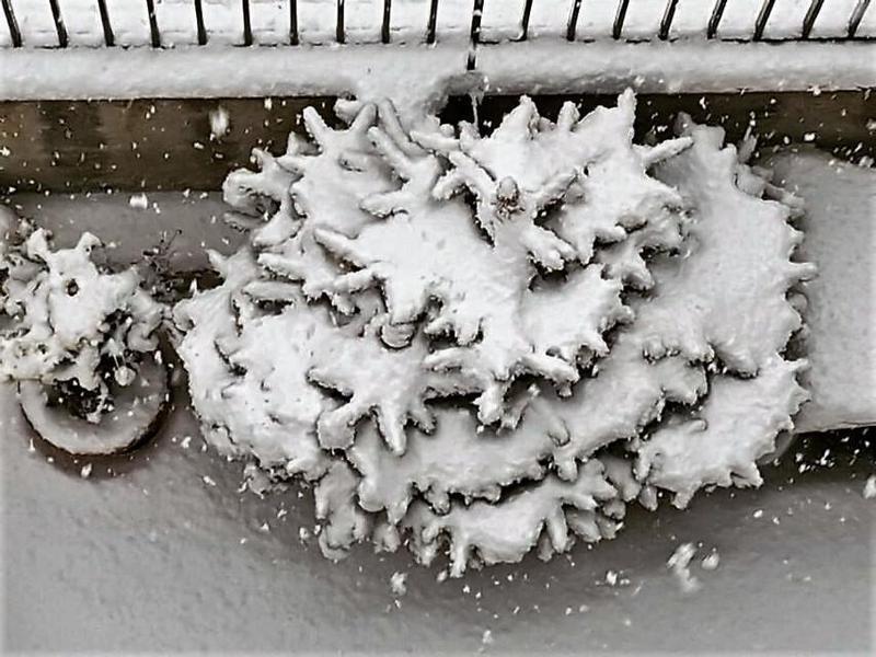 Ροζίνα Λάμπρη Custom