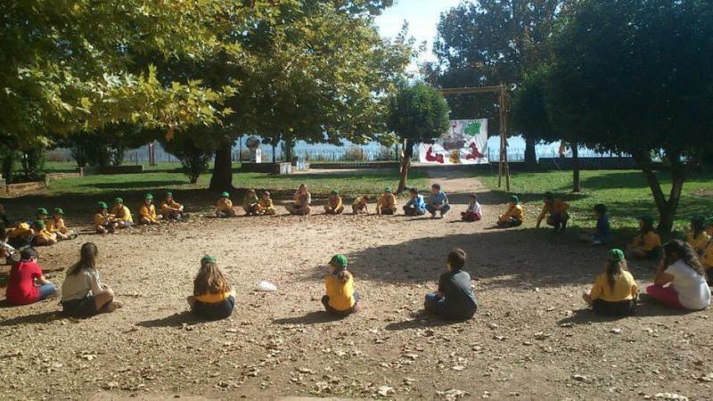 10703589 1548611665357070 5541629948339952848 n Custom