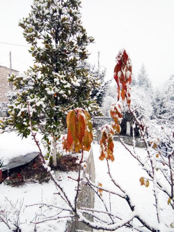 IMG 20181213 081018 Custom