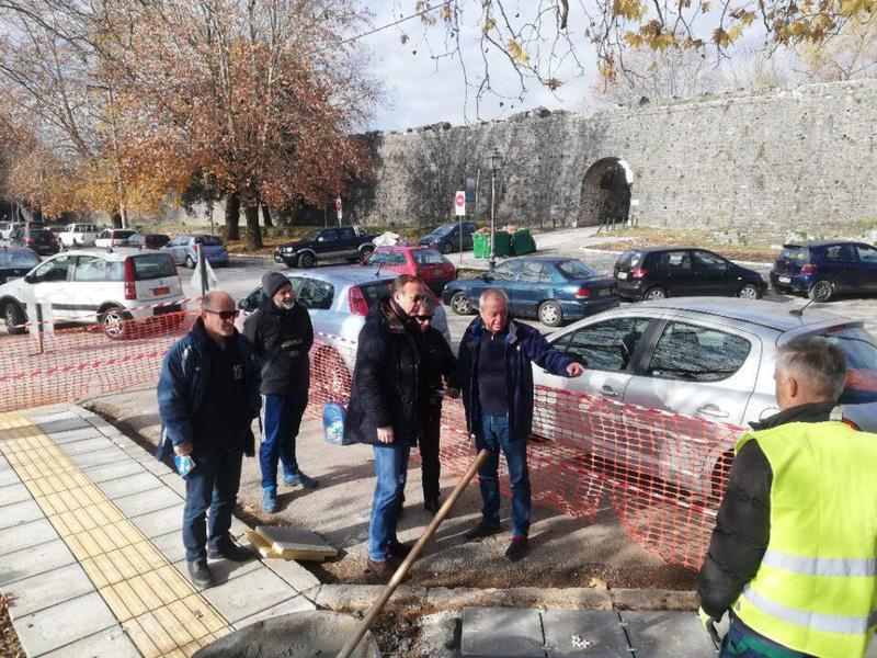 ergotaxio koinofelis5