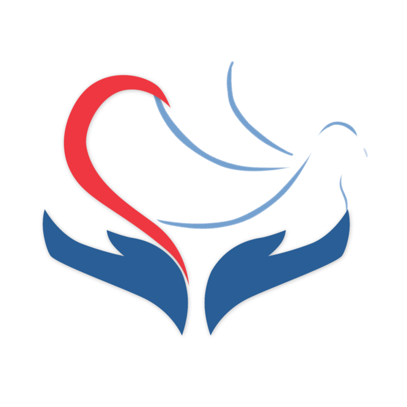 logo okpapa transparent