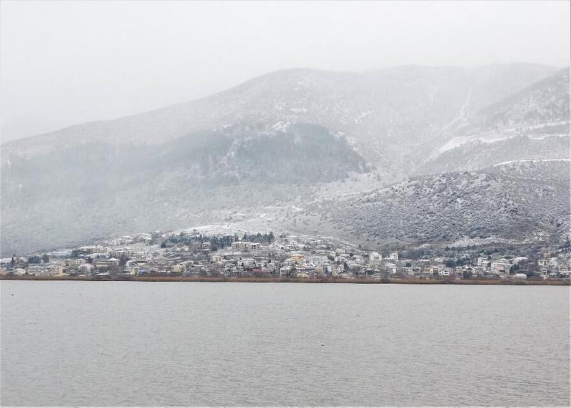 46533316 514205632734168 2972082964582905017 n Custom