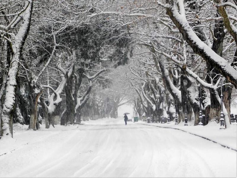 49247986 362232630998479 1470452963695656960 n Custom