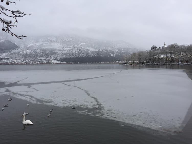 49569685 1533358293475580 8008812305531797504 n