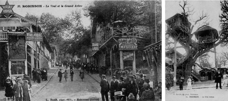 1895: Ο γιαννιώτης φοιτητής στο δέντρο του Ροβινσώνα Κρούσου 55 Grand Arbre 2 3 Custom