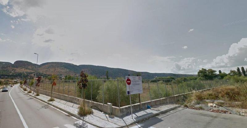 athlitikokardamitsia