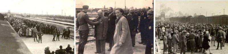 Το Ολοκαύτωμα των Εβραίων της Ευρώπης και η γερμανική ναζιστική βαρβαρότητα 1933-1945 54 διαλογή Custom