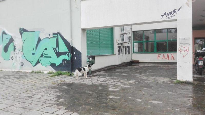 adespota panepisthmio