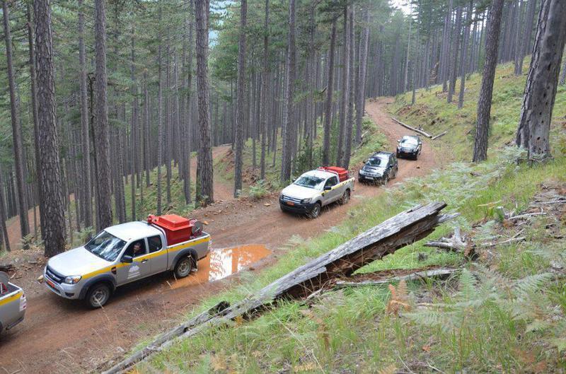 oximatavoreiaspindou