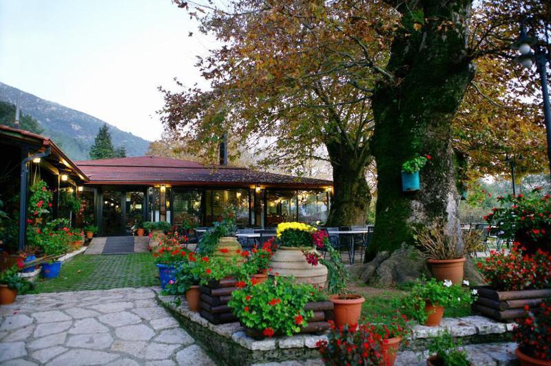 Κουζίνα 54 Παγωτός Custom