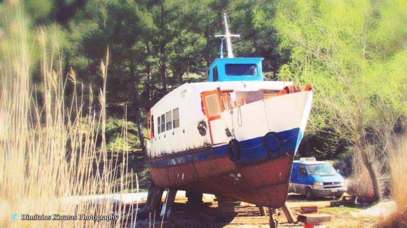 σκυλόσοφος Custom