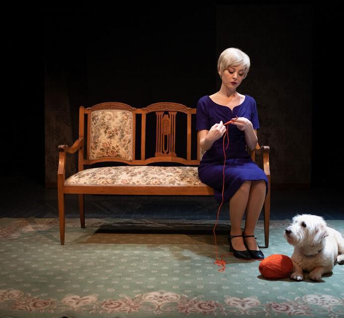 φαλακρή τραγουδίστρια 4 Custom