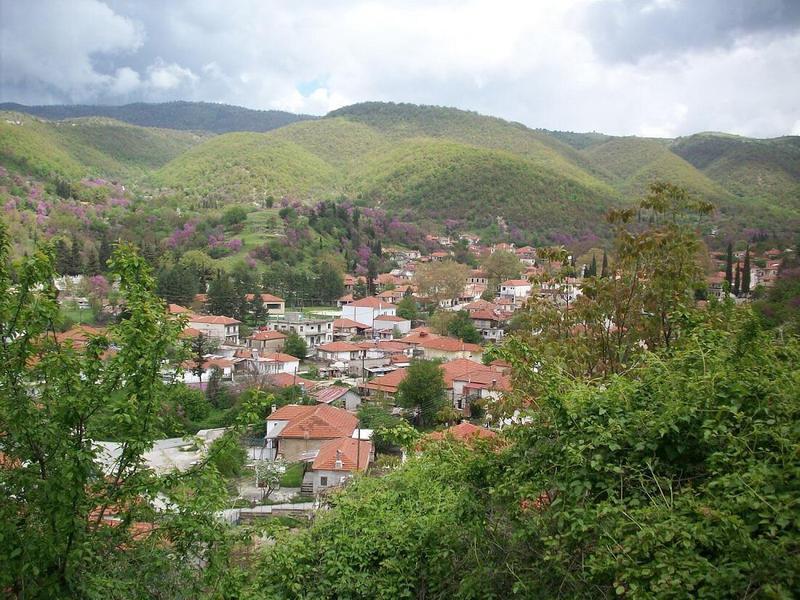 delvinaki