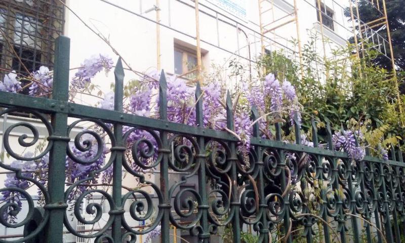 πασχαλιές στο δημαρχείο Custom