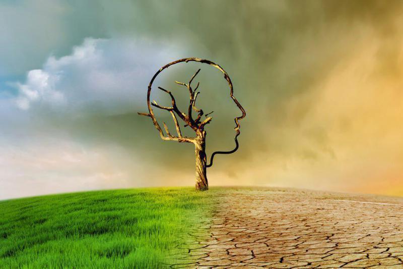 Environment Analysis