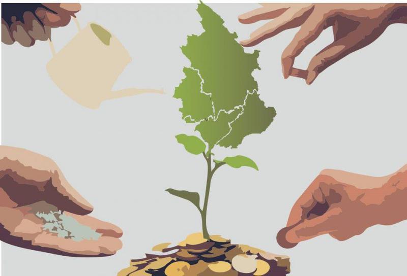 Ήπειρος ανάπτυξη Custom