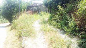 Η παρατημένη Ελάτη Ζαγορίου 62 ΕΛΑΤΗ ΖΑΓΟΡΙΟΥ 3 Custom