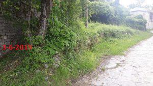 ΕΛΑΤΗ ΖΑΓΟΡΙΟΥ 5 Custom