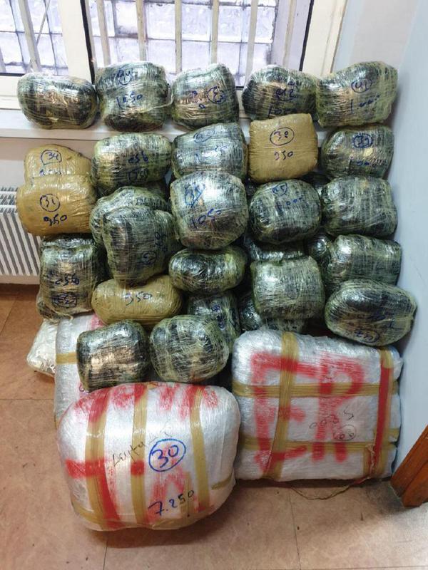 narkotikakefalovryso