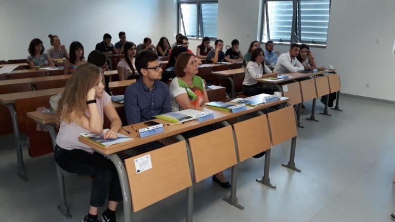 advertorial next Custom