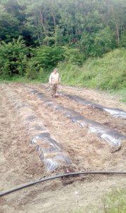 καλλιεργητής συνέντευξη Custom