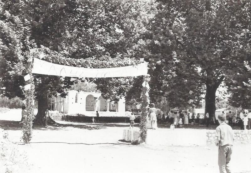 Πλάτανος για κείμενο Λουκίας 1 Custom