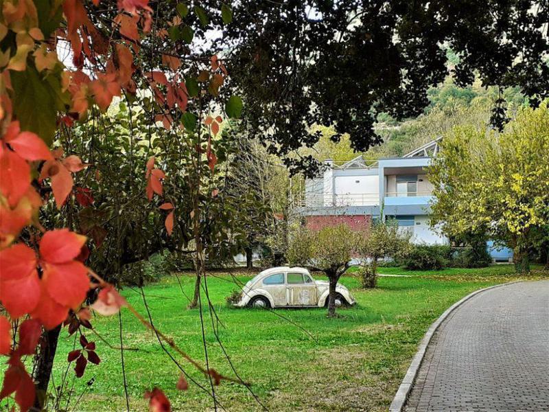 σκαραβαίος Custom