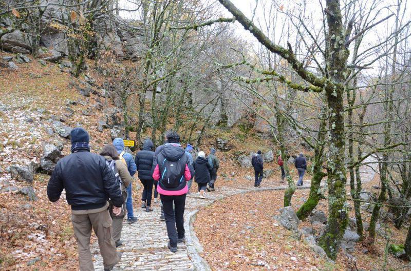 diktyo agriogido arkouda