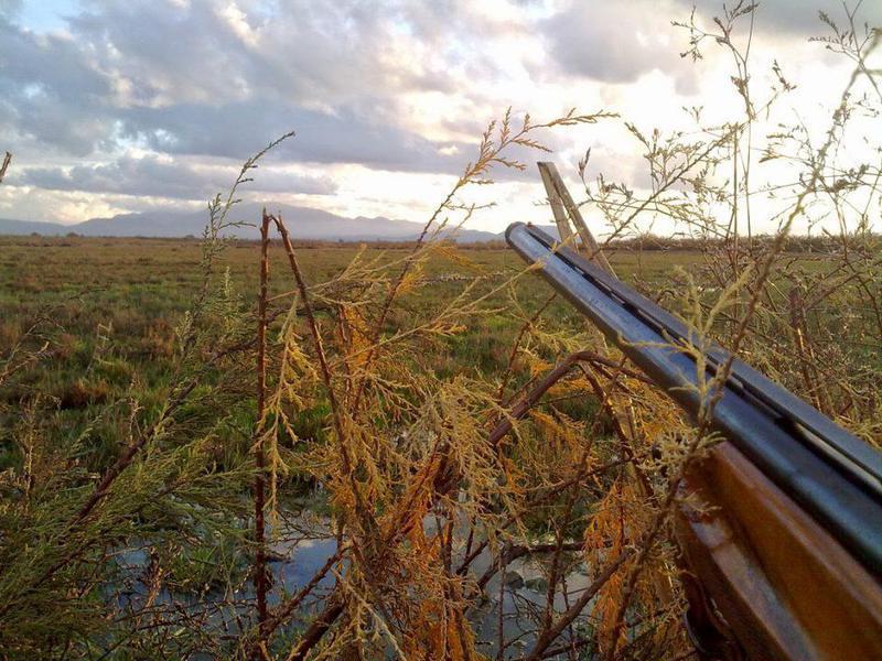 lathrothiriaamvrakikos