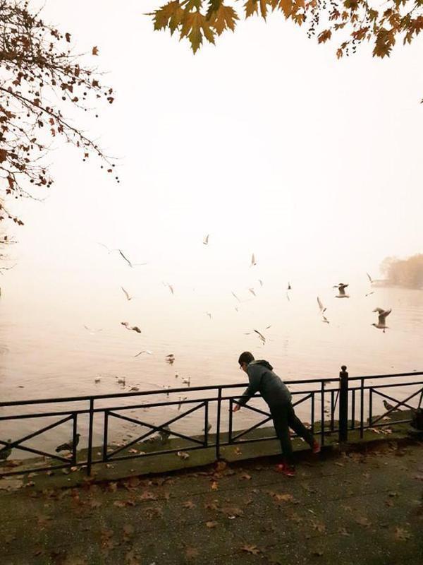 Παιδί ταΐζει γλάρους Custom