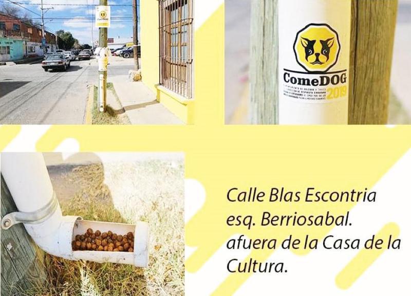 Soledad de graciano SanchezCustom