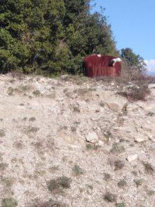 ΚΑΝΑΠΕΔΕΣ ΚΥΝΗΓΙ 1 Custom