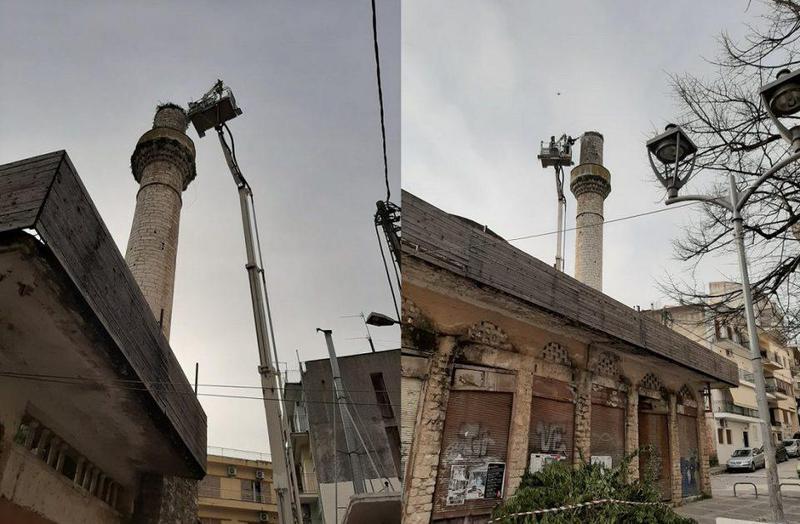 pelargoikatharismosfwlias