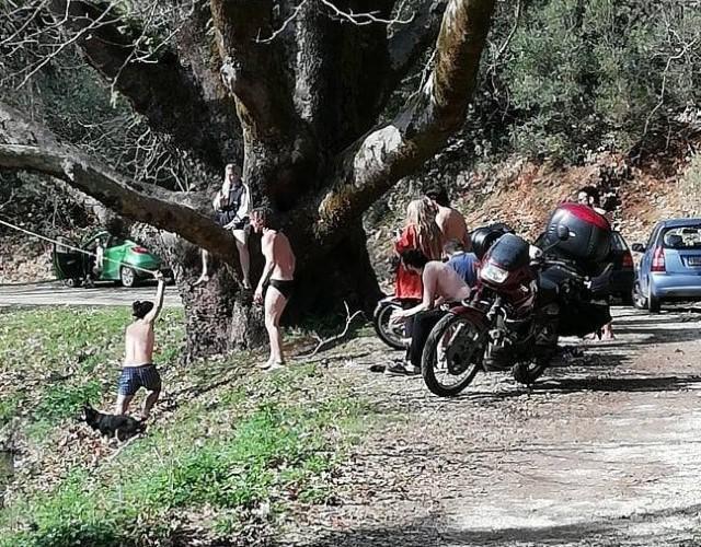 photo ΖΑΦΕΙΡΗjpg Custom