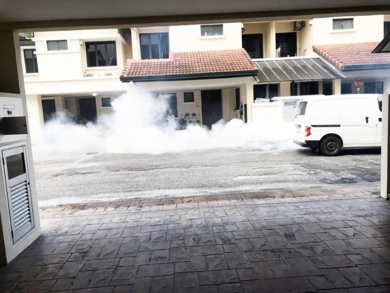 Εδώ κάθε δυο βδομάδες ψεκάζουν για τα κουνούπια ´´ για τη συνέντευξη της Μαρίας που έπαθε το δάγκειο πυρετό ΜΑΡΙΑ Custom