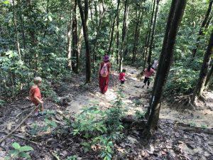 η Ζούγκλα στα όρια της Κουάλα Λουμπούρ Έφη Custom