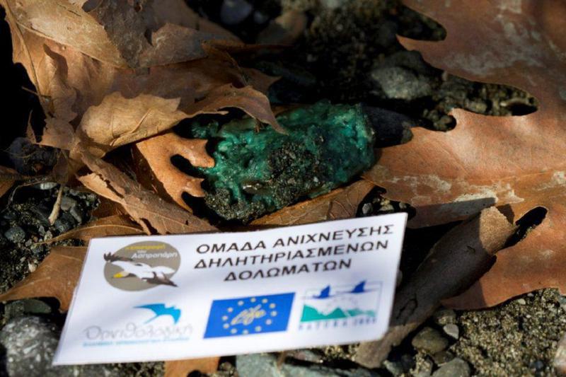 dilitiriasmena dolwmata