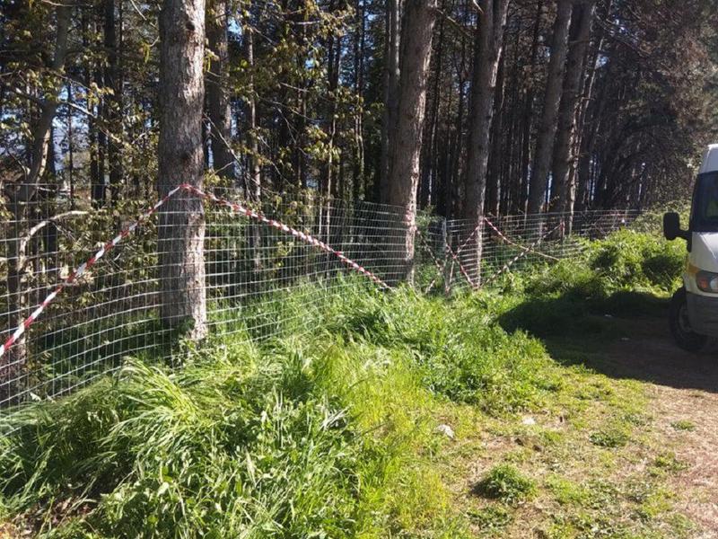 gianniotikoperifraxi