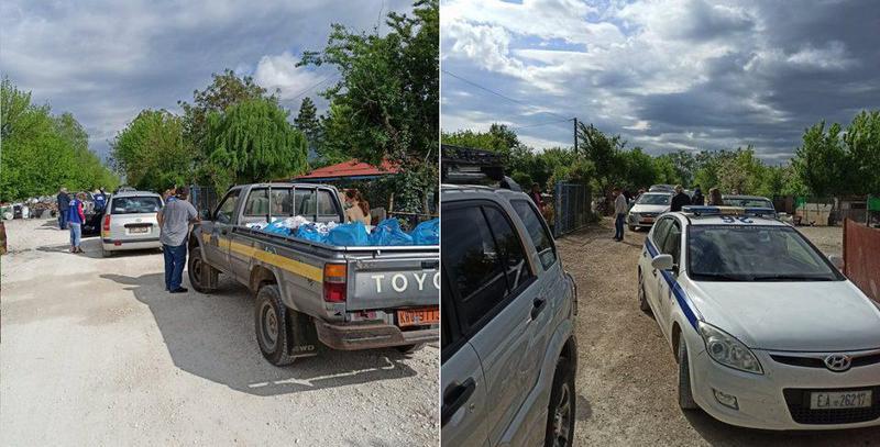 roma dianomitrofimwn