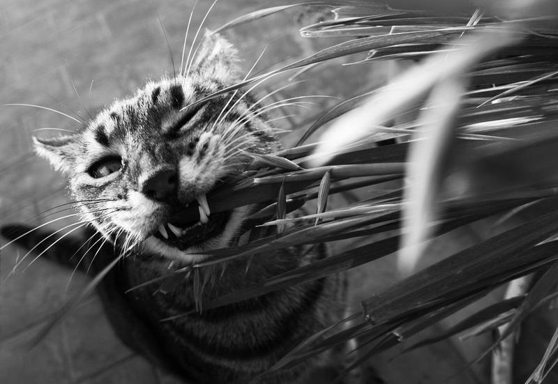 isolation measures 2