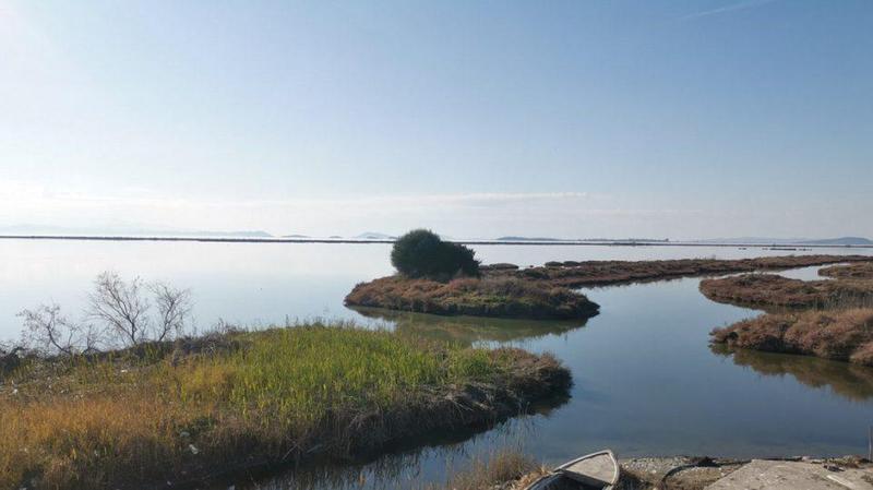 limnothalassaneoxwriou