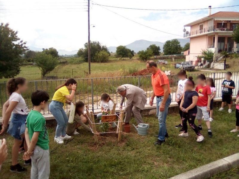 dimotikopedinis dafni