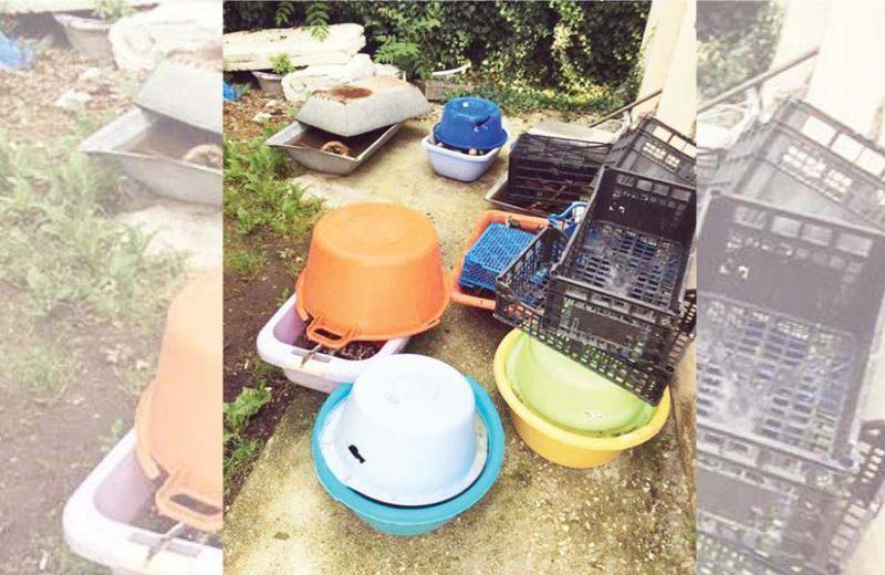 οστά άγιος νικόλαος κοπάνων για site Custom