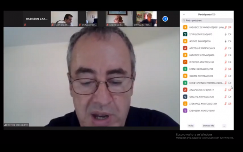 vavvas oikonmiki thlediaskepsi