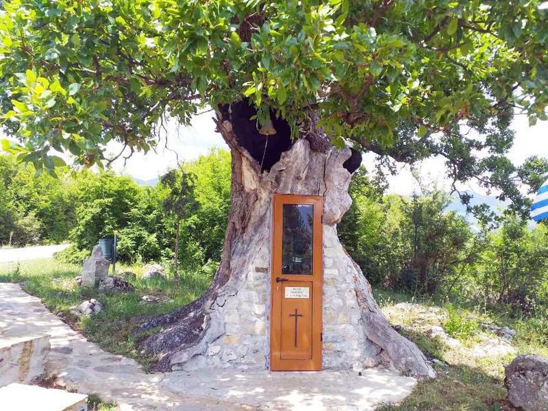 ΔΕΝΤΡΟΕΚΚΛΗΣΙΑ Custom