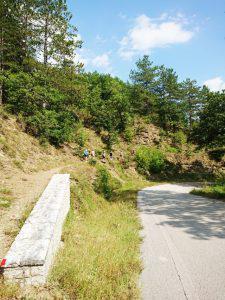 ΠΟΡΕΙΑ ΚΟΥΚΟΥΛΙ Custom