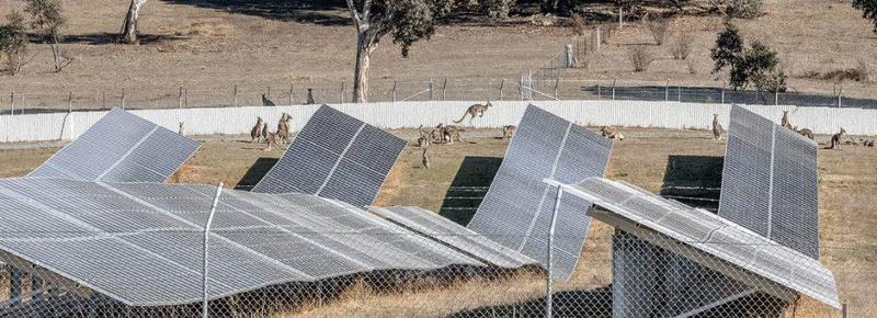 Tzortzis Royalla solar farm Canberra Australia