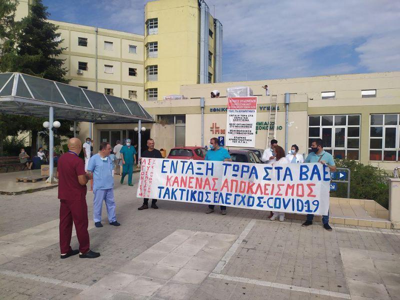 diamartyria varea pgni