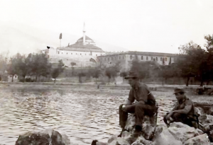 Γιαννιώτικα ιστορικά πλατάνια και κυπαρίσσια 60 εικόνα 6 Custom